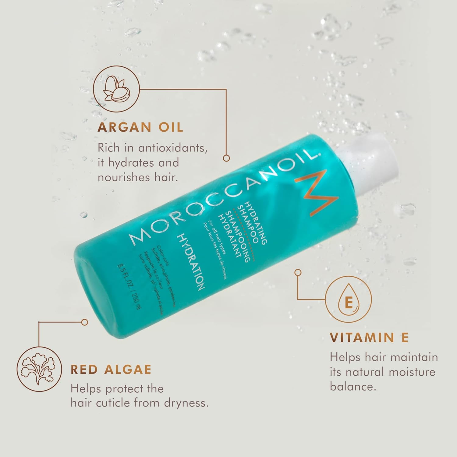 Moroccanoil Hydrating Shampoo - Gentle Daily Shampoo for All Hair Types
