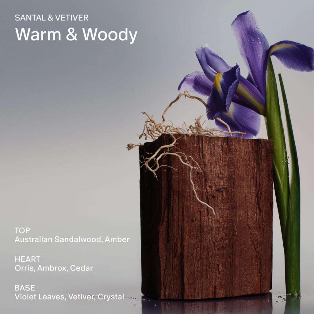 Salt & Stone Body Wash with Antioxidants for Deep Moisture | Sandalwood & Vetiver Refill