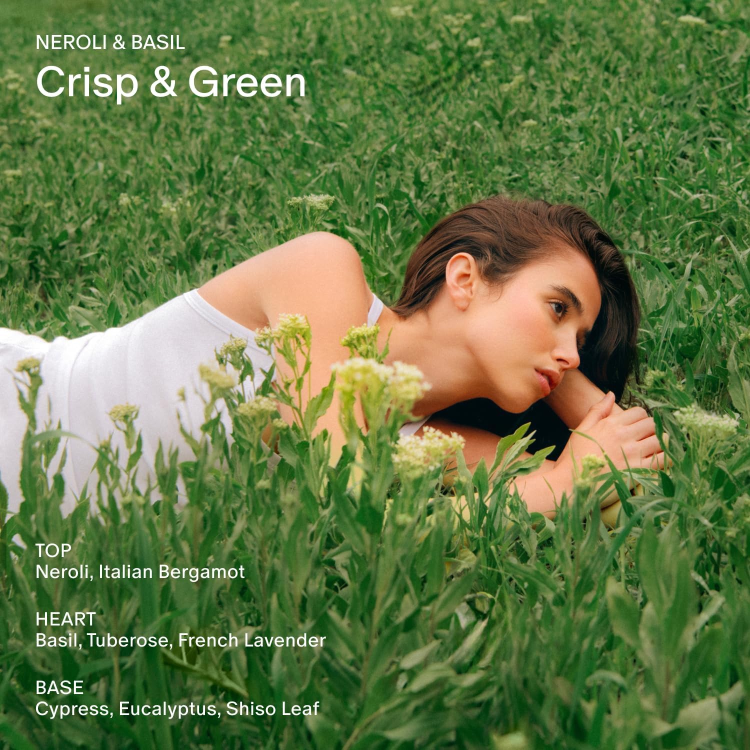 Salt & Stone Body Wash with Antioxidants for Deep Moisture | Neroli & Basil