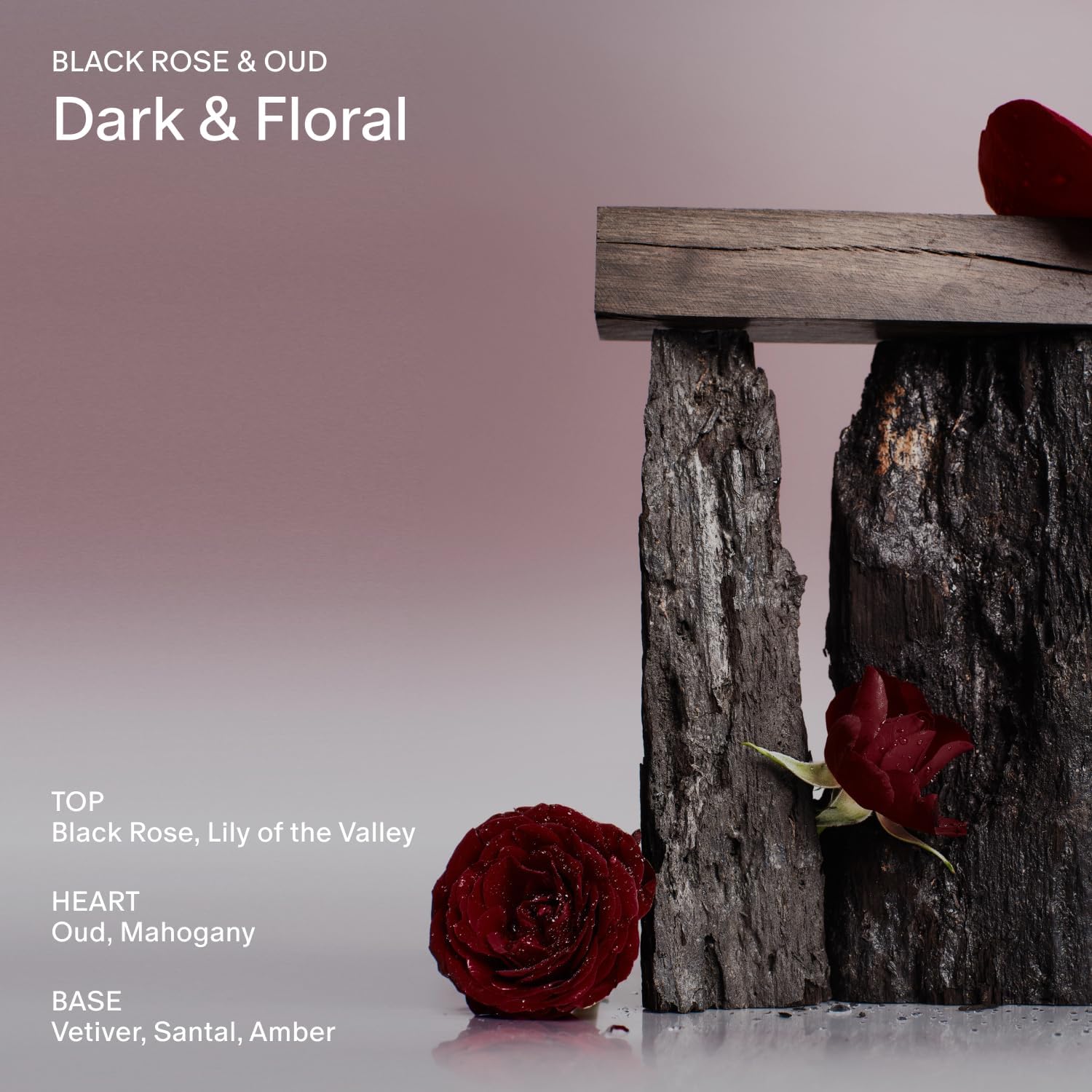 Salt & Stone Body Wash with Antioxidants for Deep Moisture | Black Rose & Oud