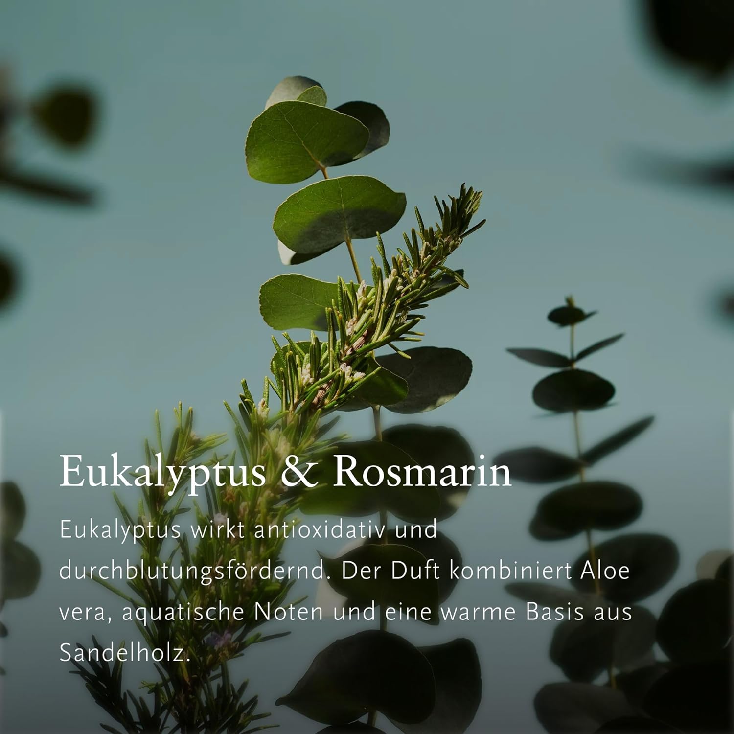 RITUALS Room Spray - The Ritual of Hammam 500ml | Rosemary & Eucalyptus